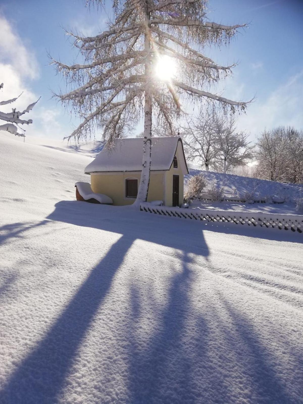 Alpenchalets Oberlaiming 伊特尔 外观 照片